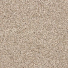 Grand Reserve Lantana Cream Plush Carpet product swatch
