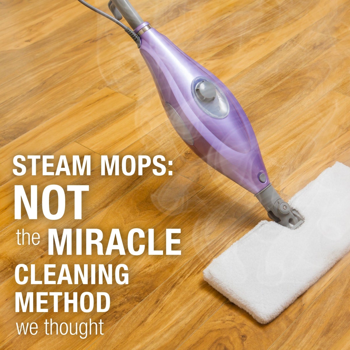 Steam_Mops_1