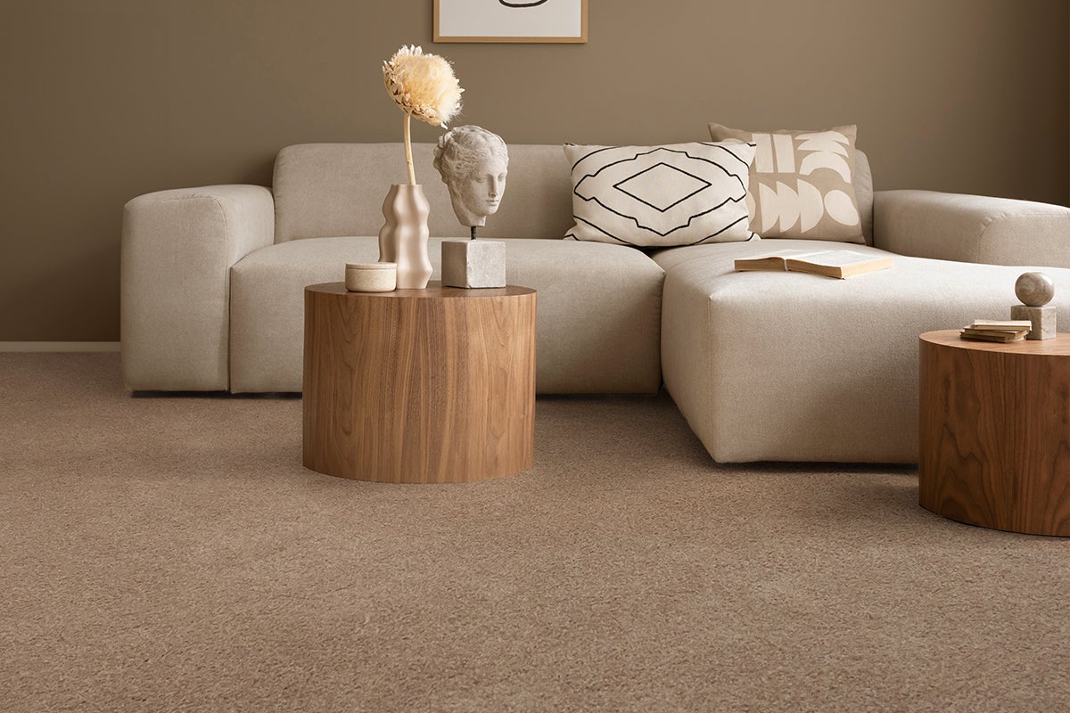 brown_carpet_living_room.jpg